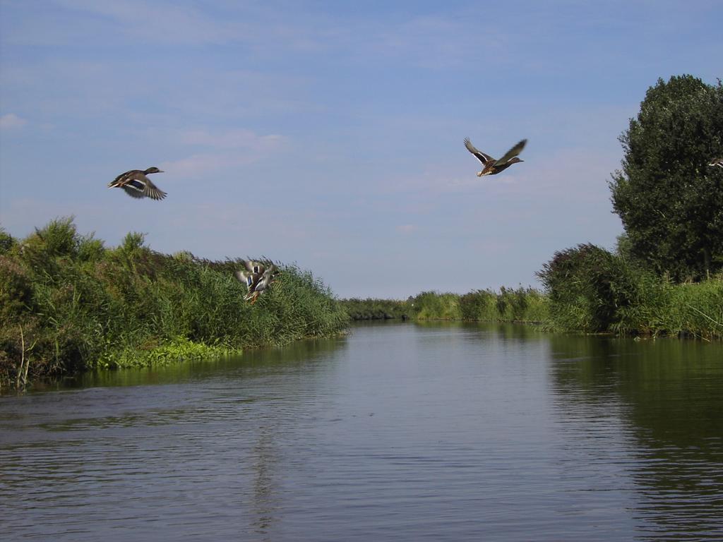 De Energiek Bed & Breakfast Wehe-den Hoorn Dış mekan fotoğraf